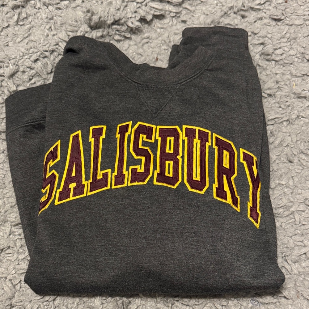 Salisbury Dark Gray Sweatshirt